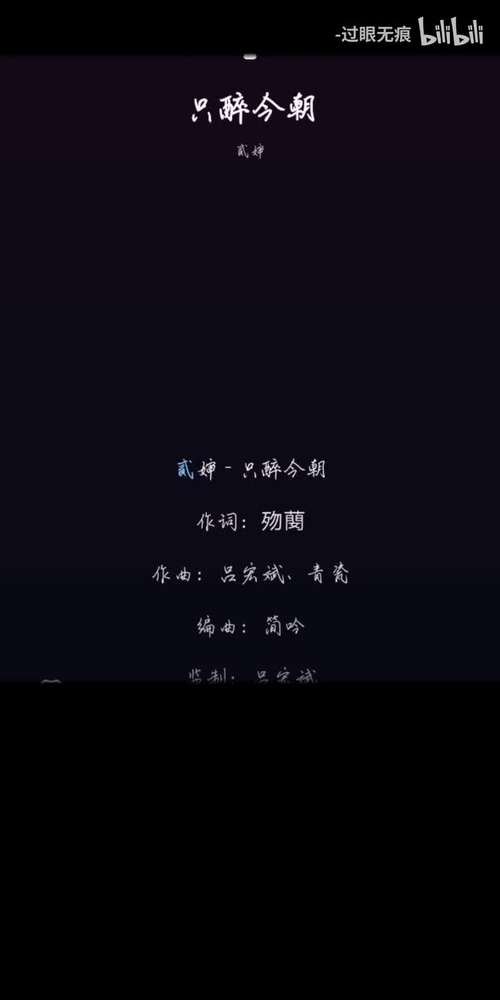 101.只醉今朝-贰婶