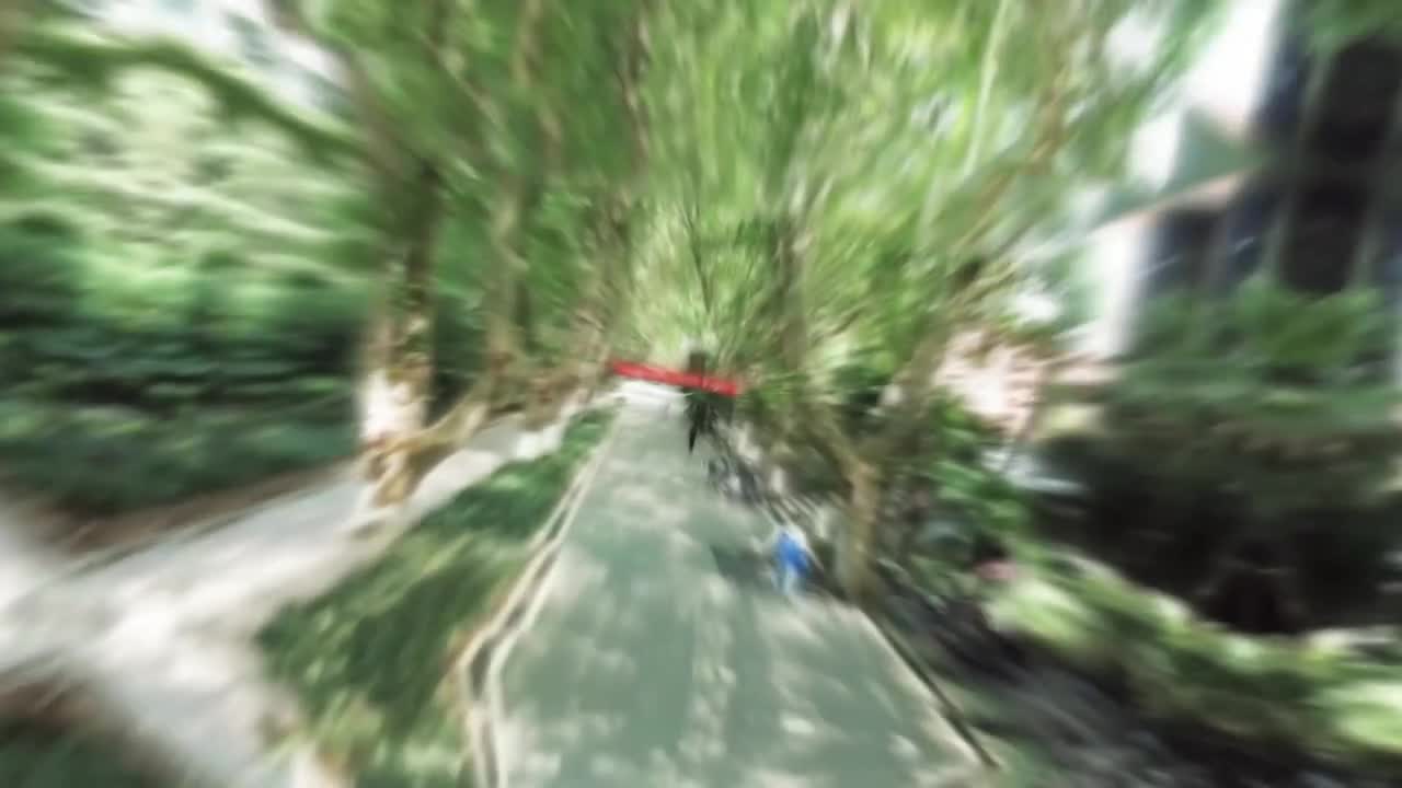 10.4.4 电磁场的动量