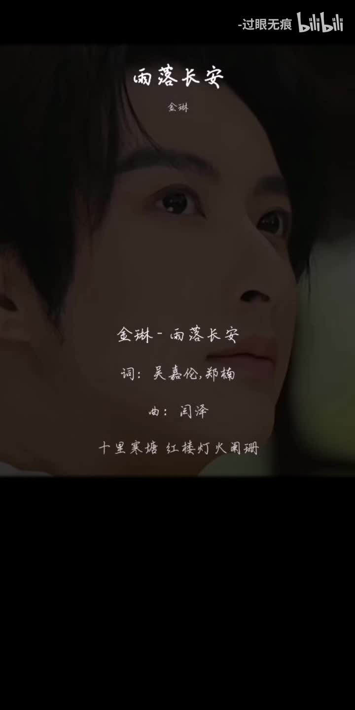 197.雨落长安-金琳