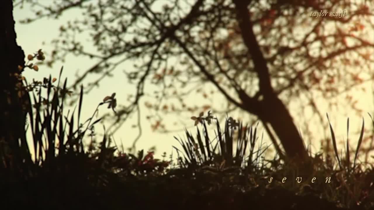 seven (Instrumental)