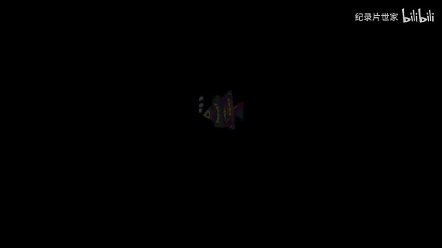 【幼升小英语1-28】26个字母拼写与认读教学 0-4岁儿童英文启蒙 英语自然拼读入门基础