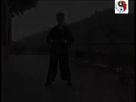 金刚功_4_左肝右肺如射雕