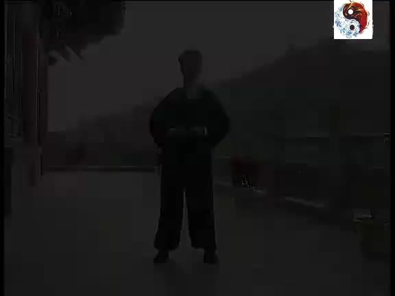 金刚功_5_回头望足去心疾