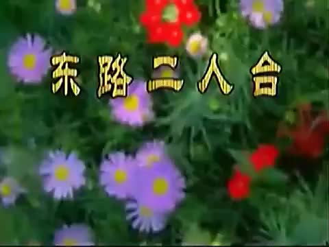 二人台-《王三打鸟》