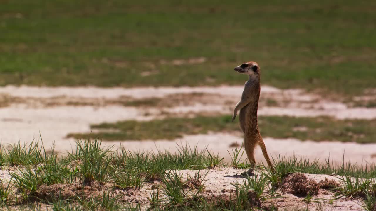 003_[HDR]利文斯顿