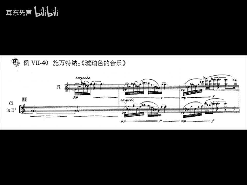 07-040 施万特纳：琥珀色的音乐