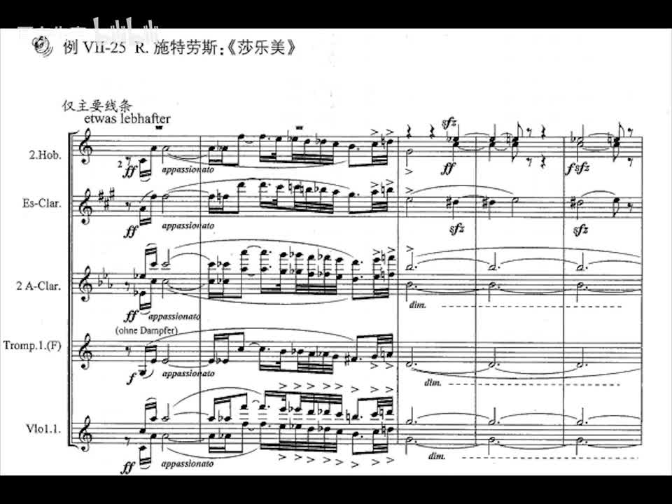 07-025 R.施特劳斯：莎乐美