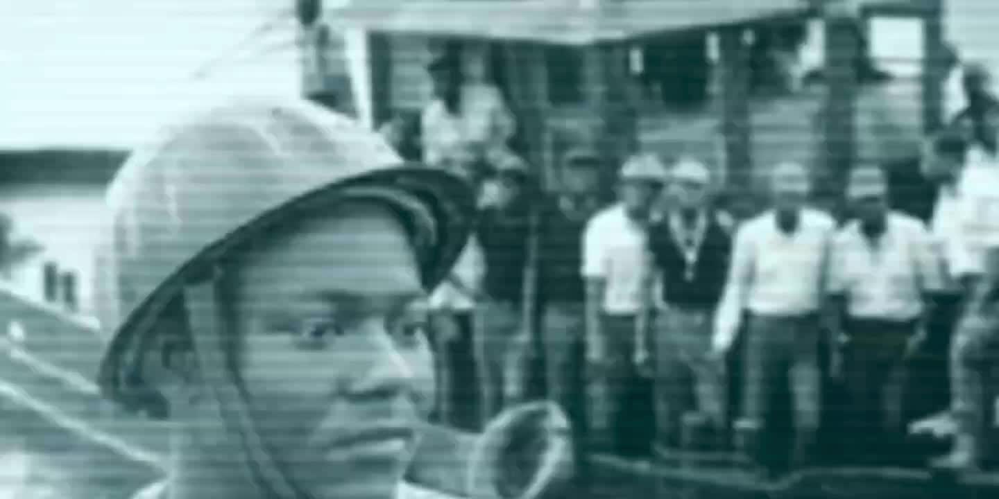 非——洲——鸡——场——