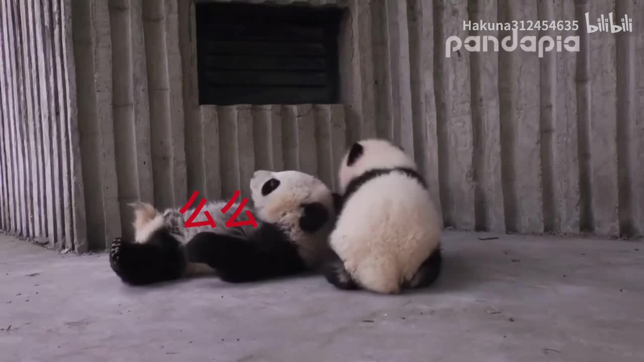 庆小马仔当么么垫脚