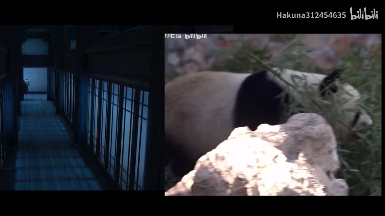 萌兰轻手轻脚捉鸟，神似功夫熊猫阿宝