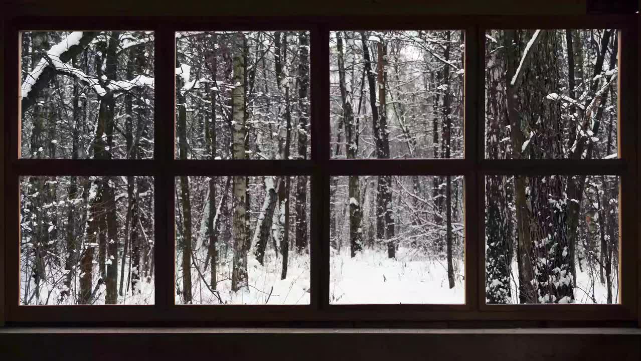 雪林-Snowing Forest