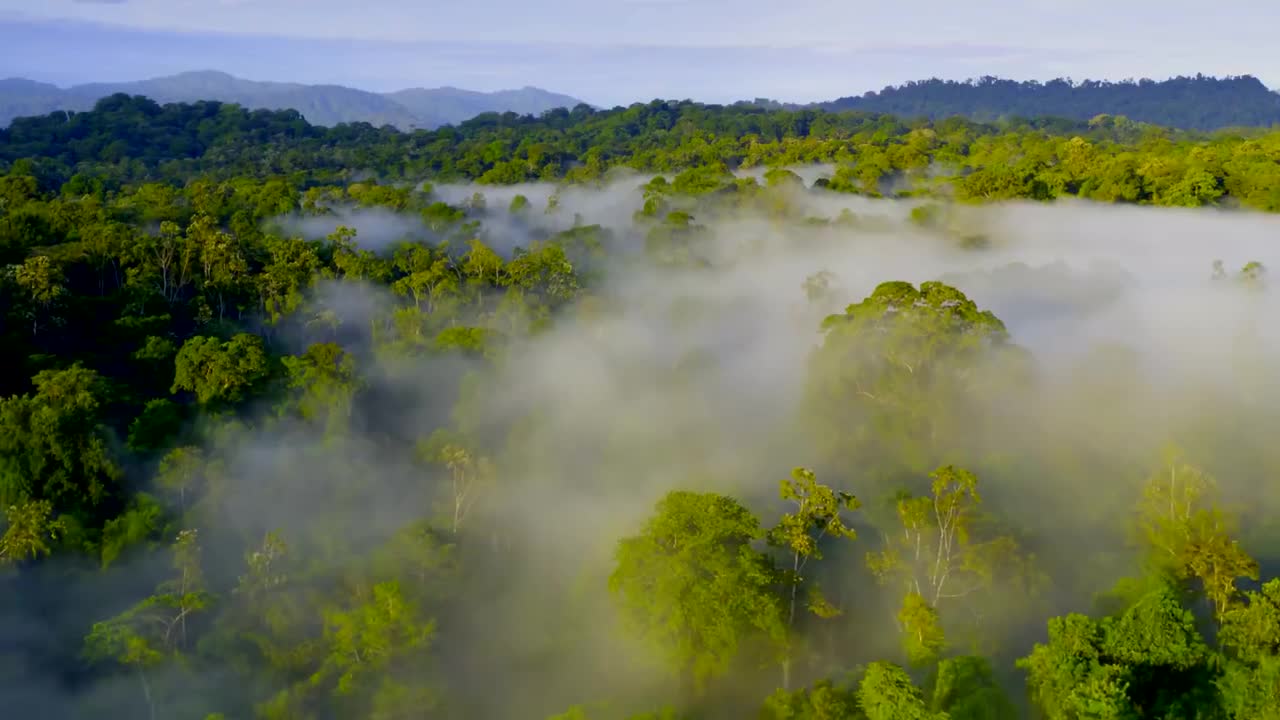 第二季01【草场】