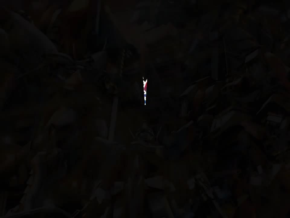 我ニ敵ナシ (龙虎王 & 虎龙王)