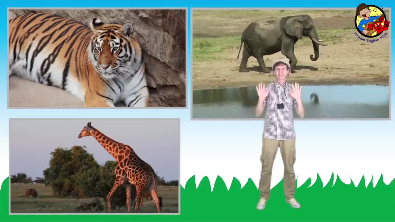 What Do You See_ Song _ Wild Animals _ Learn English Kids