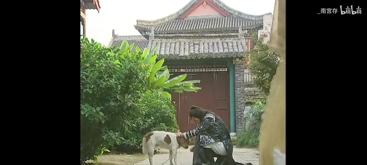 47. 喂流浪狗
