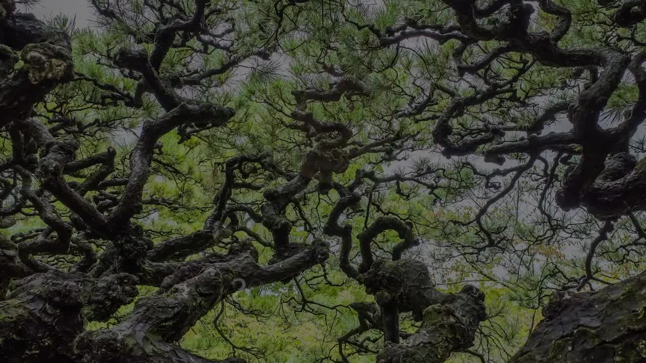 Things you find in Alphorns