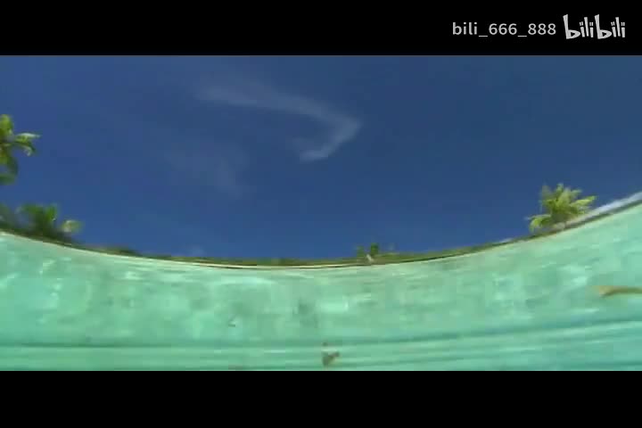 陈瑞-鱼和水的故事-国语-流行歌曲