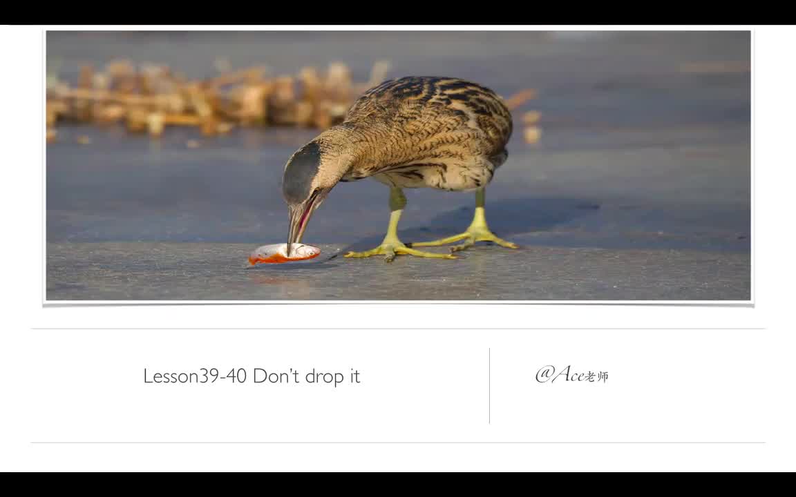 Lesson39-40 Don't drop it