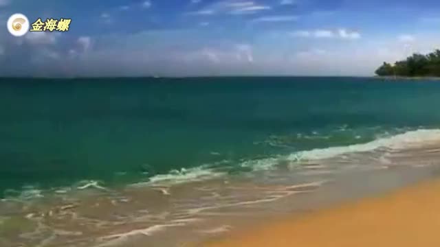 Je m'appelle Hélène《我的名字叫伊莲》