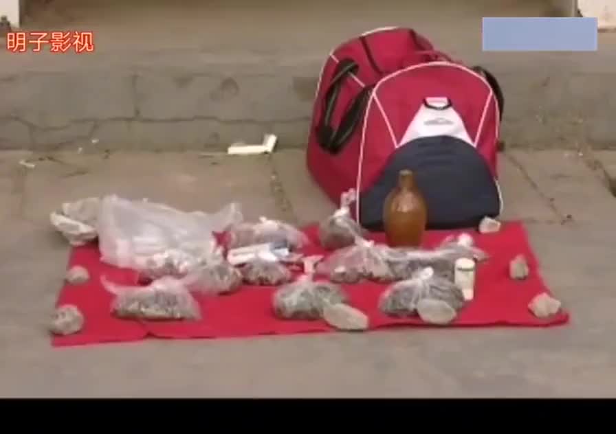 《马和骡子的故事》第一 集