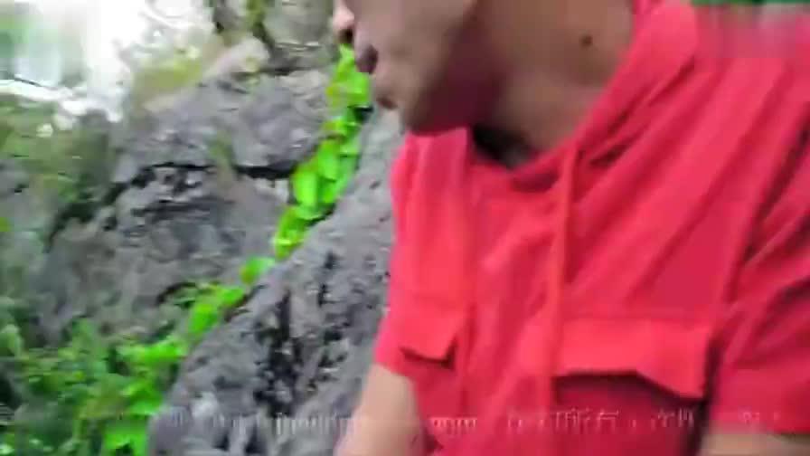 《爱多深恨多深》第五部