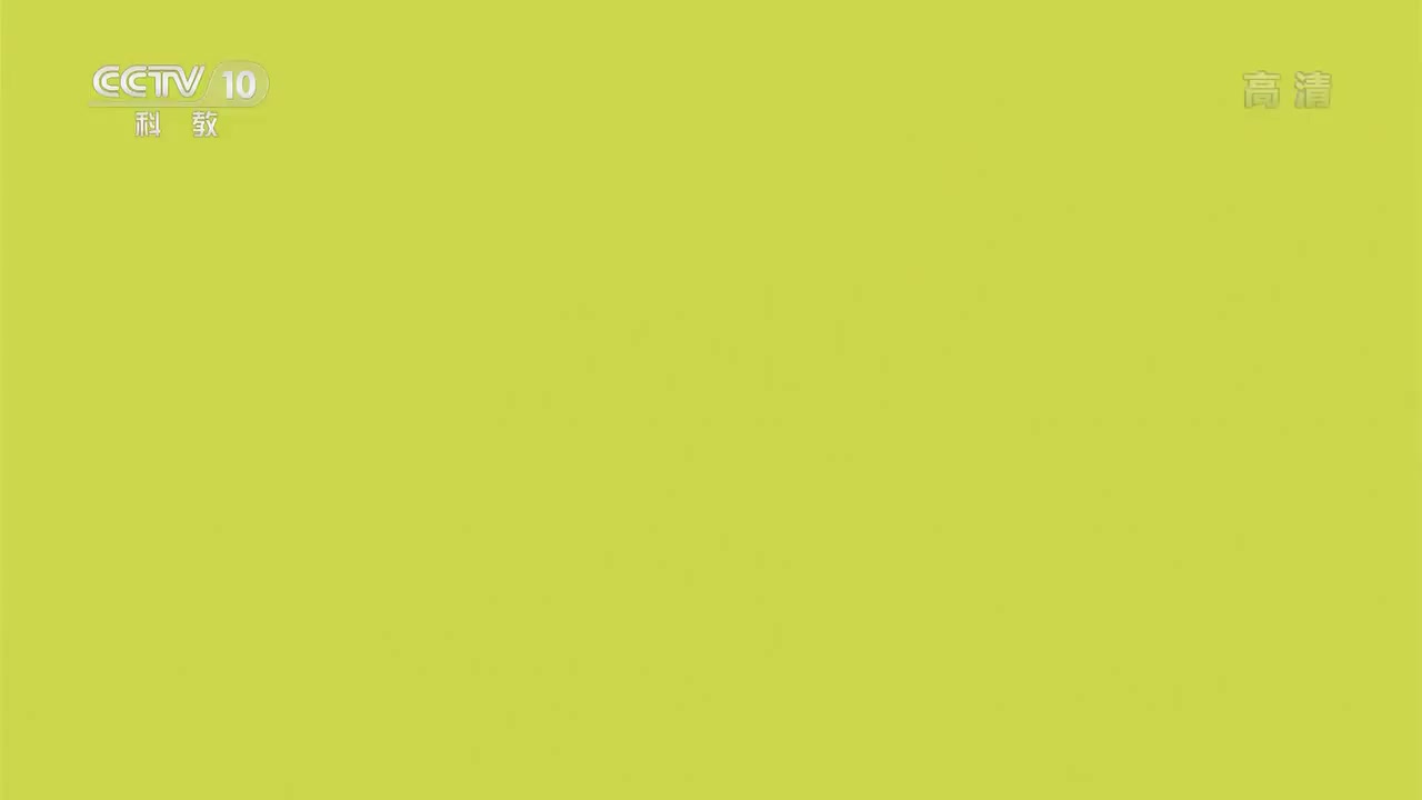 单挑荒野-危地马拉