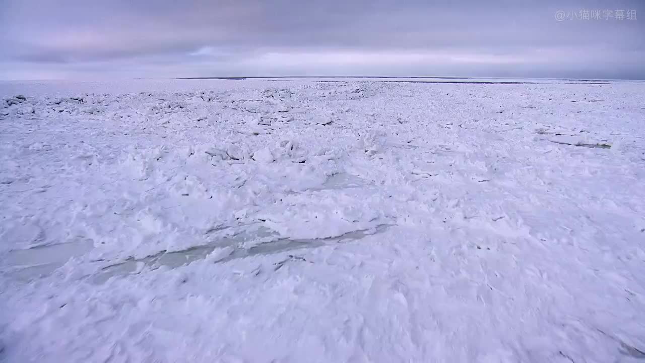 S01E02 Cub's Journey