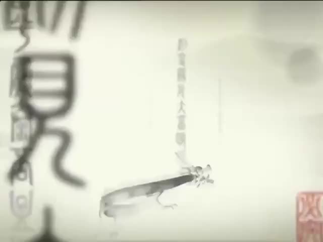 66 Noodles Chinese food