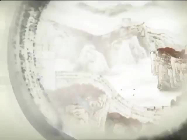 29 Traditional Chinese medicine TCM