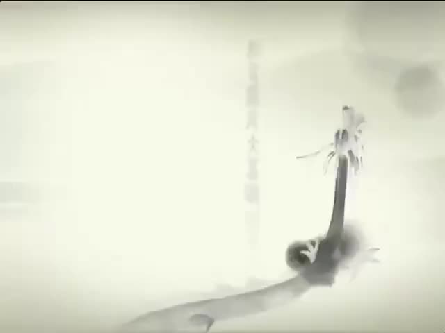 64 Tofu Vegetarian meat