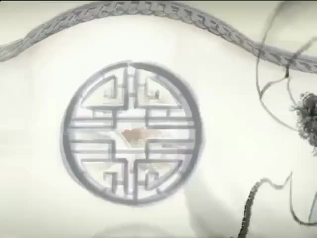 39 Chinese Lion Dance An introduction