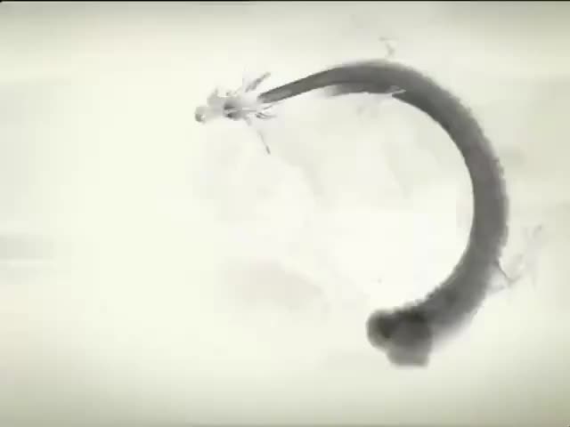 70 Chinese family values