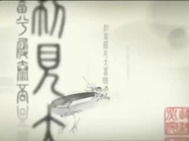 51 Terracotta Warriors