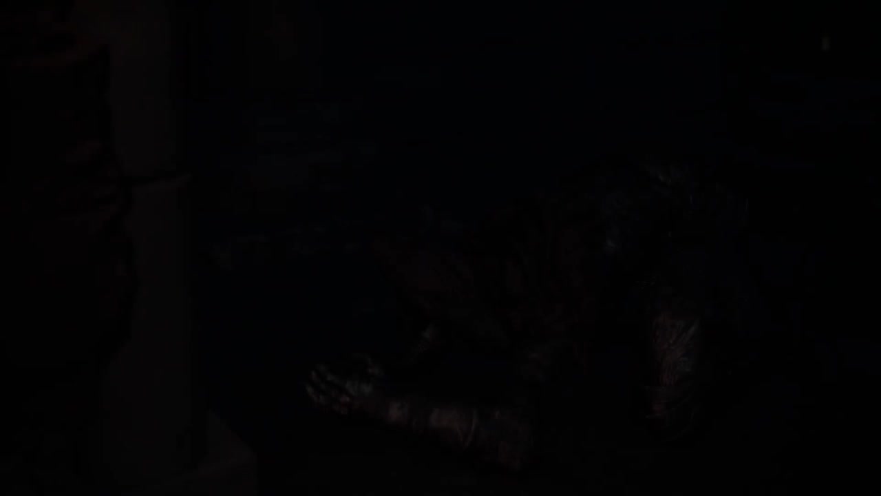 艾雷德尔的绘画世界