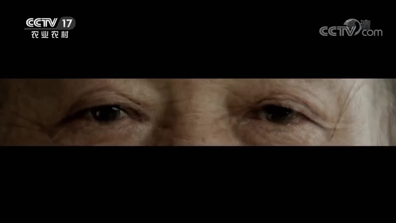 第7集 希望的田野