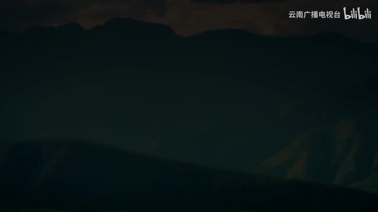 《“象”往云南》中文版