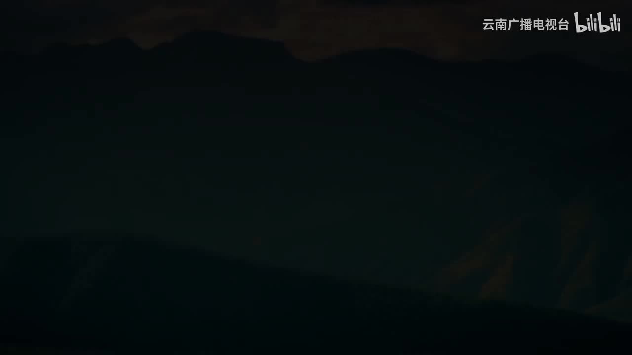 《“象”往云南》英文版