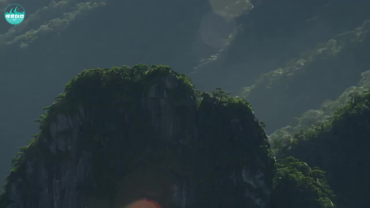 【走进中国第一批国家公园】海南热带雨林国家公园