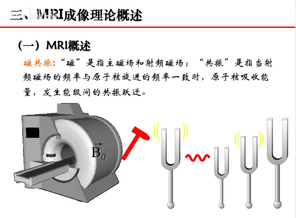 磁共振成像原理概述