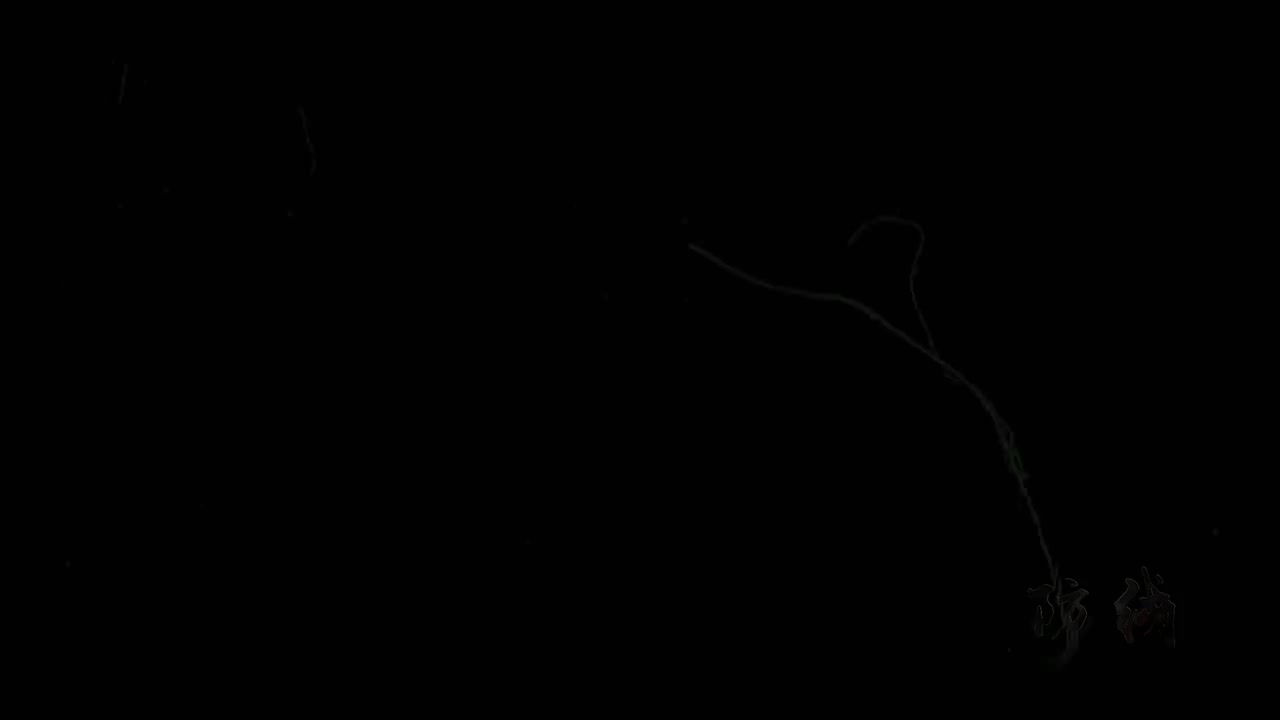 02-机械设备篇-揽不住的风险（龙门吊倒塌事故）