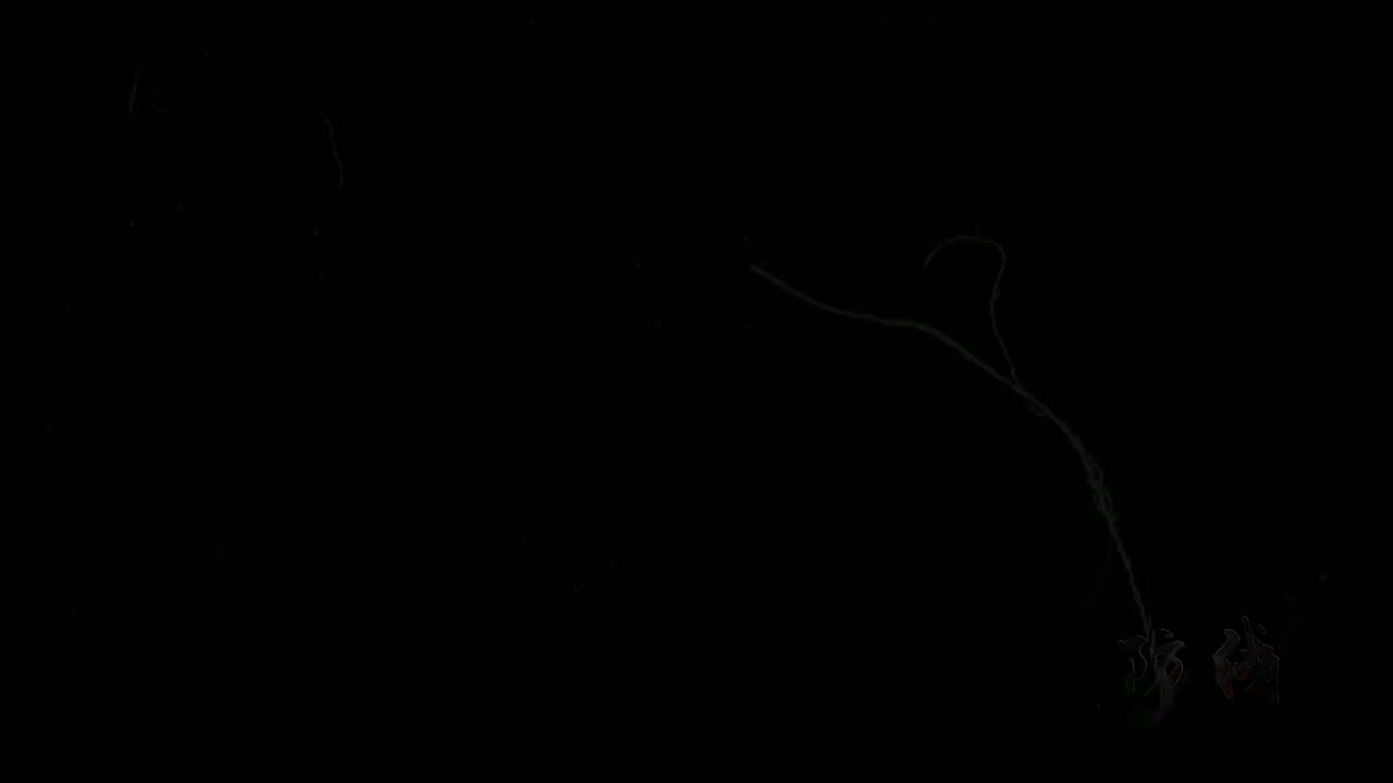 01-机械设备篇-倾覆的架桥机