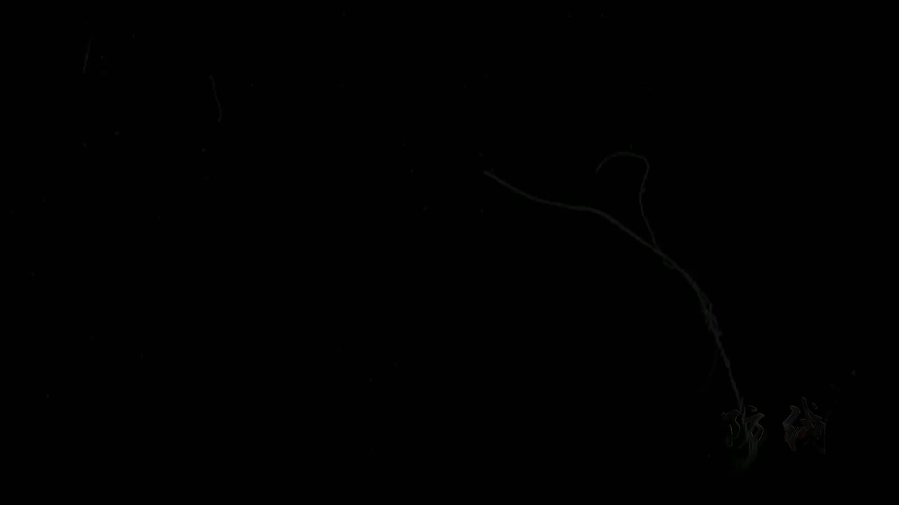 17-安全文化篇-生日愿望