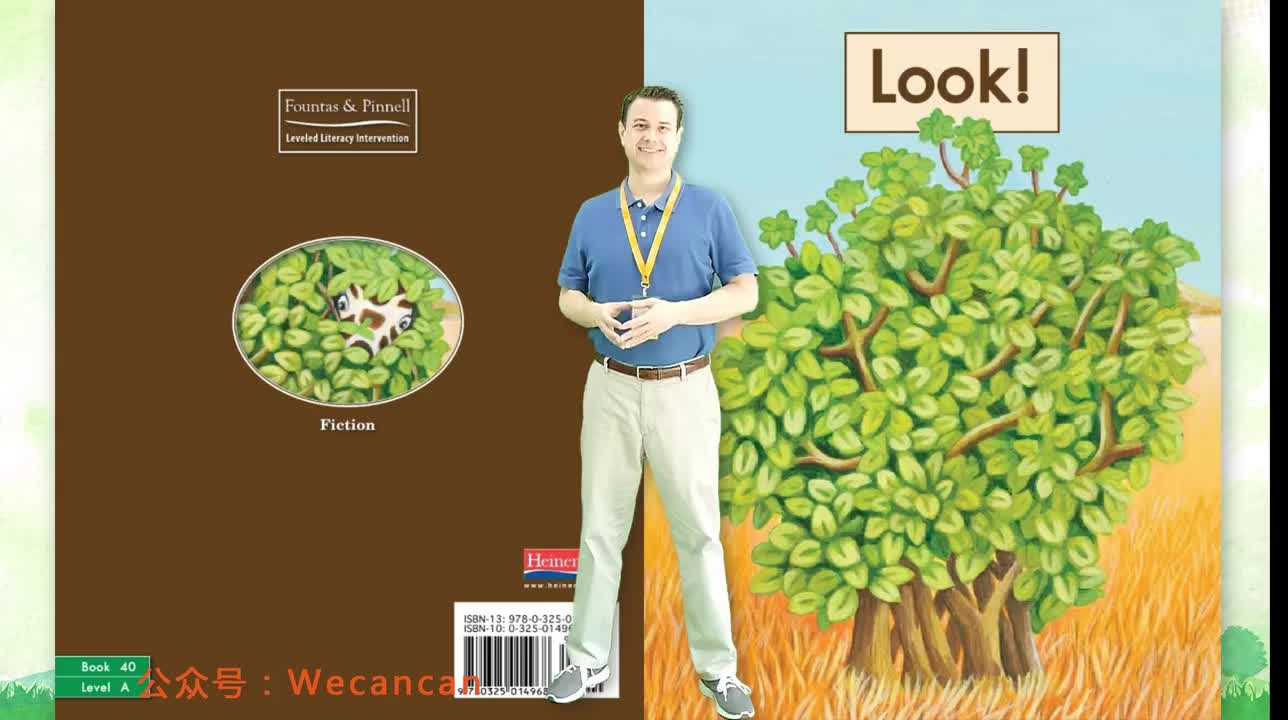 美国艾伦老师海尼曼G1绘本精讲40 Look