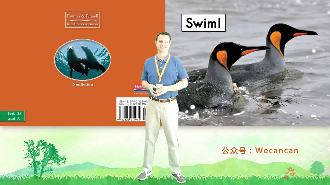 美国艾伦老师海尼曼G1绘本精讲34 Swim