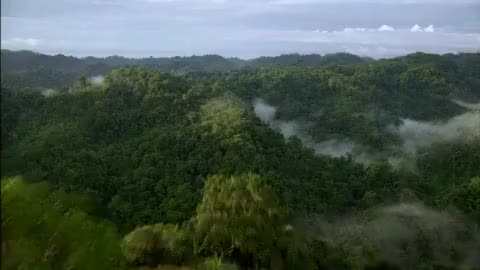 34.公益 青春守护，美丽中国