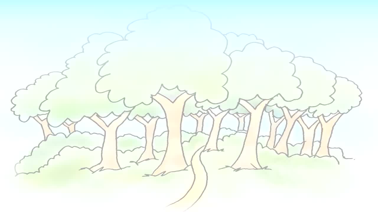 【2】Colors and Animals _ Adjective _ Noun