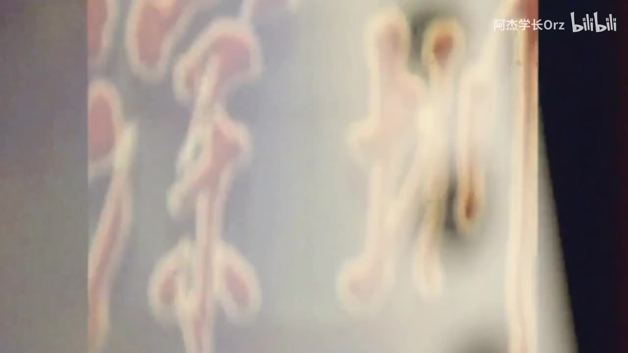 39秒90年代深圳街头画面