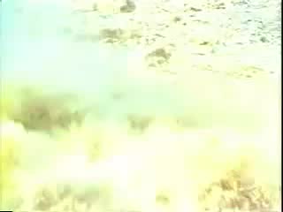 豫剧《呼家将》06 谢庆军、索文化、毛松奇等-演出