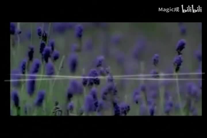 爱伤了_任贤齐&金池_国语