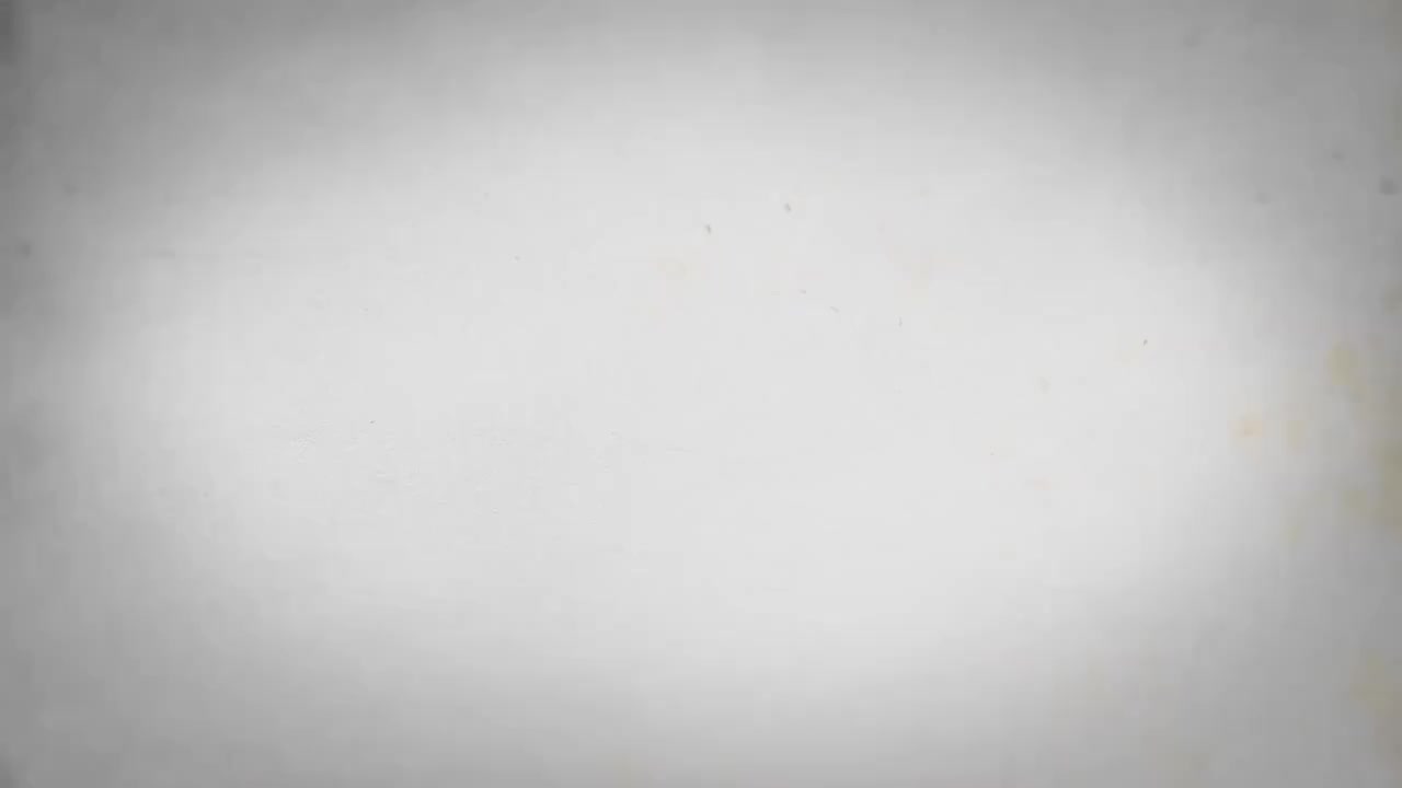 37.第36讲范爱农之死